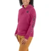 Women's Carhartt Clarksburg Graphic Sleeve Hoodie