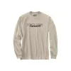 Men's Carhartt Relaxed Fit Heavyweight Long Sleeve Script Graphic T-Shirt